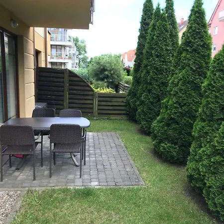 Mewa Polna Sopot